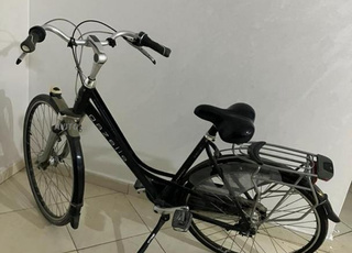 جمل جديد 2000 لمن لديه أغراض يبيعها