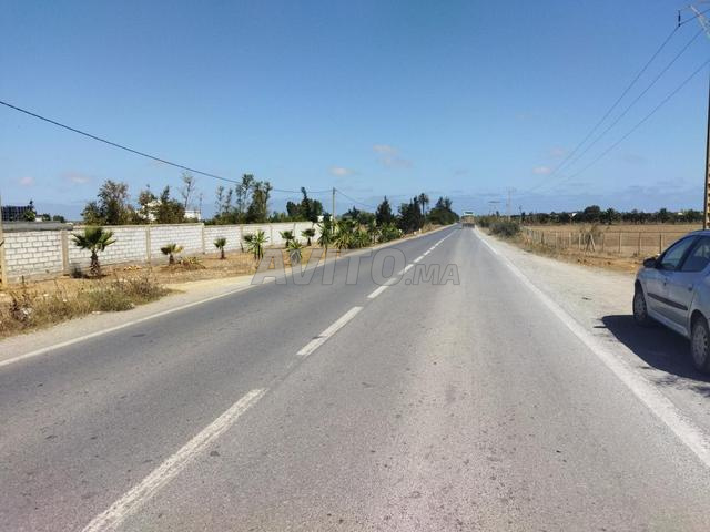 Un hectare et 5 mètres à vendre à Tétouan