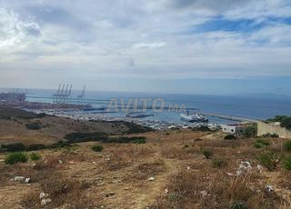 Terrain à vendre près du port de Tanger Med