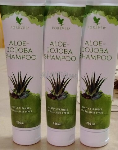 Shampoing Jojoba Aloe Vera avec du cactus