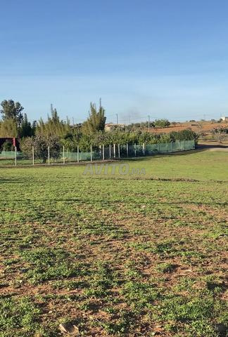 هكتار ونصف على طريق فيه الماء والكهرباء 7كم تيفلت