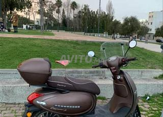 كابتشينو S 2025