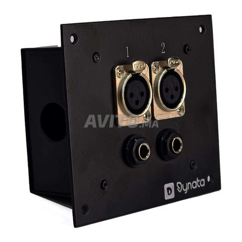 ديناتا صندوق التوصيل الجدار 2 مدخل XLR / 2 مخرج جاك