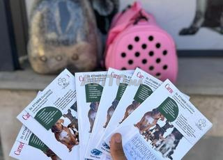 بشون هافاني