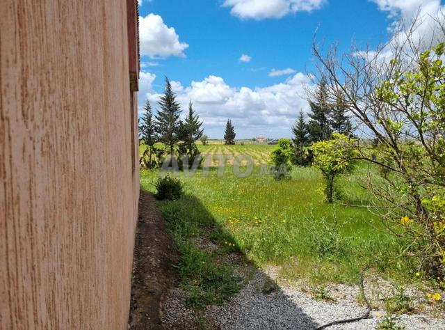 Ferme titrée à vendre à Sidi Bderazzak tiflet - 2