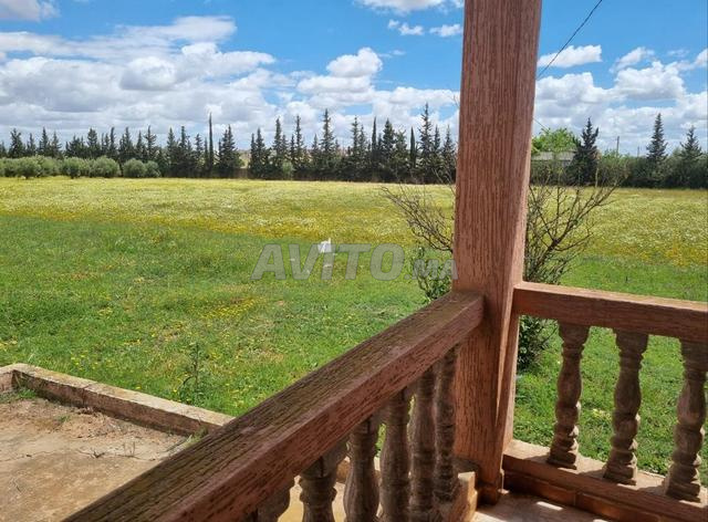 Ferme titrée à vendre à Sidi Bderazzak tiflet - 2