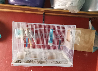 Bienvenue à ceux qui les veulent, ce sont un couple avec leurs enfants