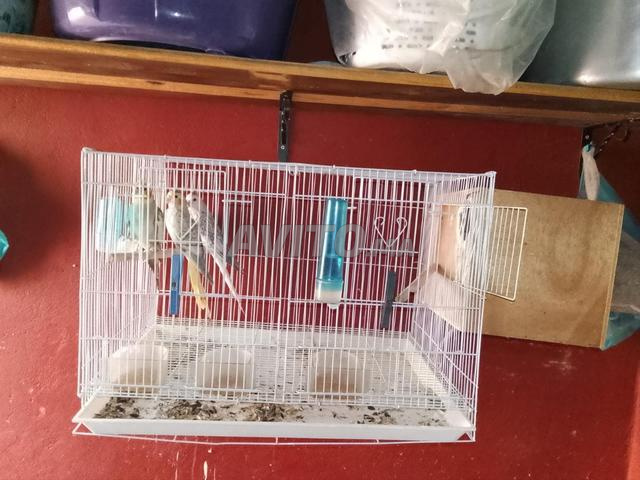 Bienvenue à ceux qui les veulent, ce sont un couple avec leurs enfants