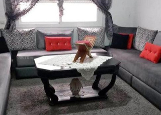 Chic appartement pour familles