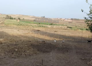 Prix non déterminé