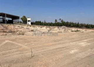 Local à louer à Médiouna