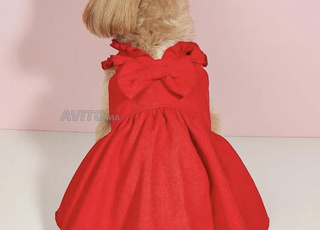 Tout pour vos chiens et chats 🐶🐱