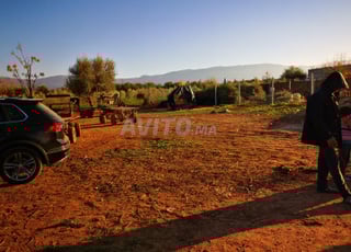 vente terrain pour habitation ou projet agricole