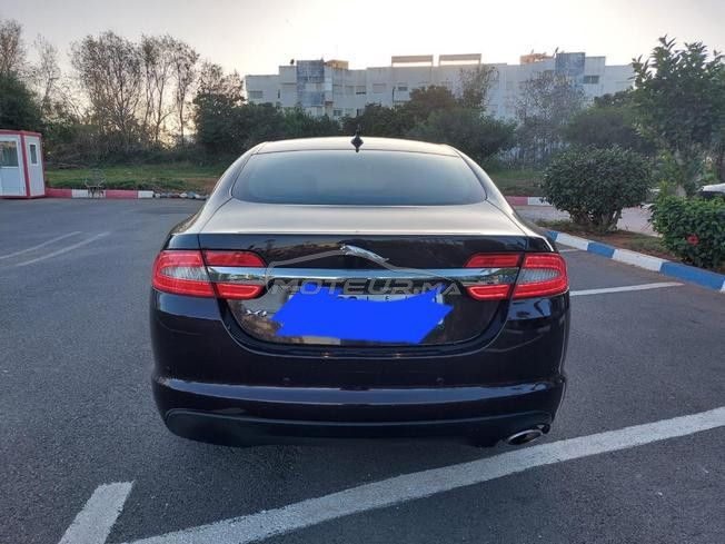 jaguar n9eya