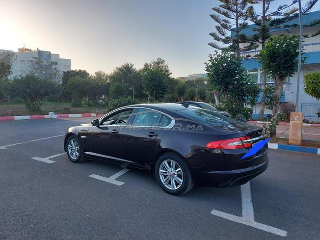 jaguar n9eya