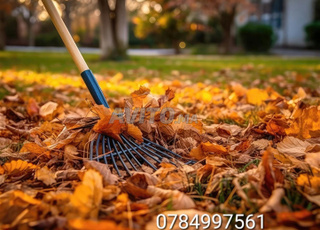 صيانة وتنسيق الحدائق