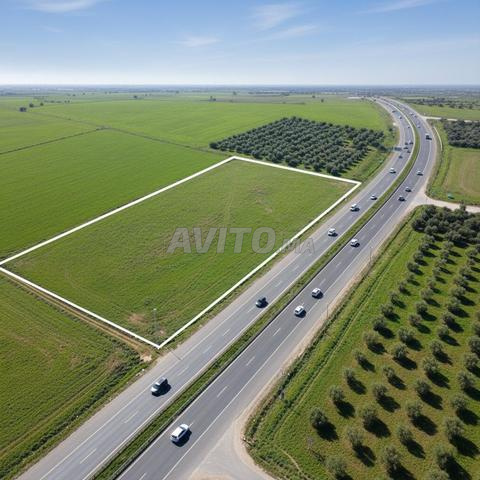 فرصة استثمارية استثنائية في القنيطرة