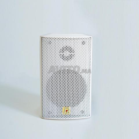 Paire d'enceinte P-Audio MS-50 - 2