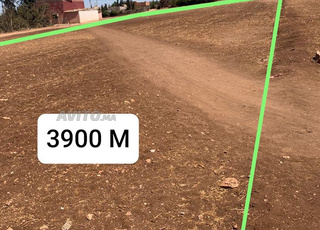 Terrain constructible de 3900 mètres