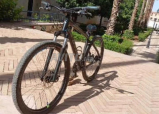 بيتوين روكرايدر 520