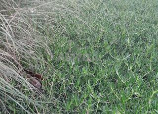 للبيع، أرض في الهرهورة