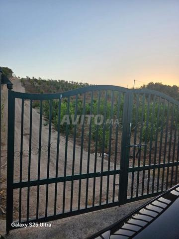 Terrain de 5000 mètres, enregistré, arbres fruitiers sur route