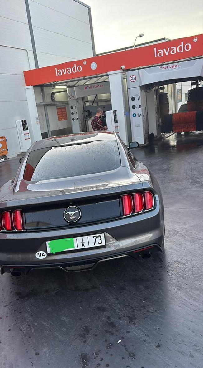 Mustang   330 CV  50 Year Limited Edition 