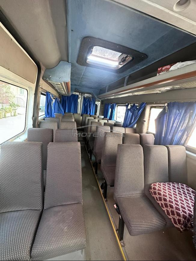 Fiat Ducato - Transport