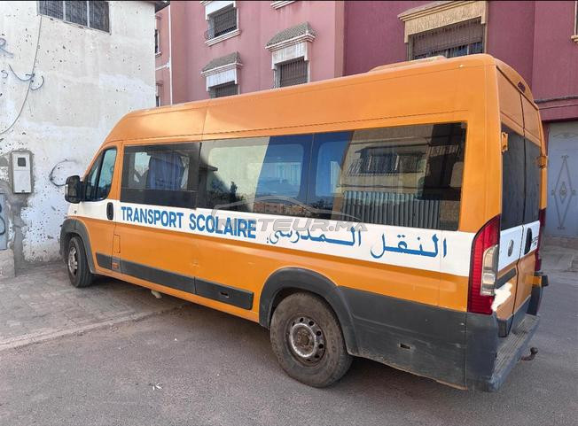 Fiat Ducato - Transport