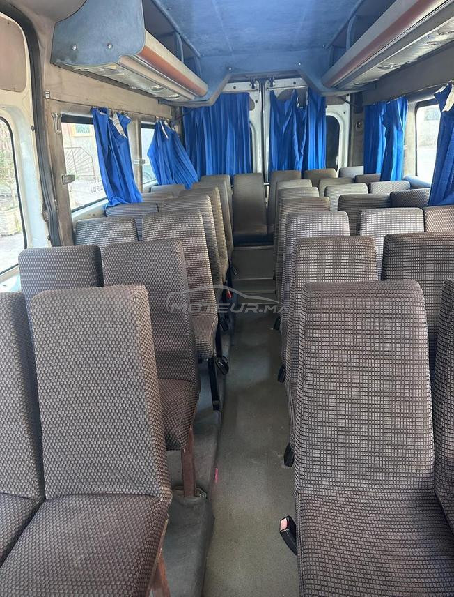 Fiat Ducato - Transport