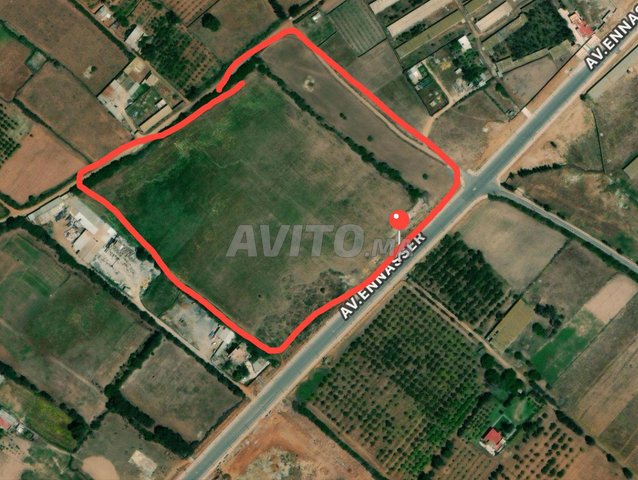 Terrain prêt à construire 5 hectares – Av Nasser