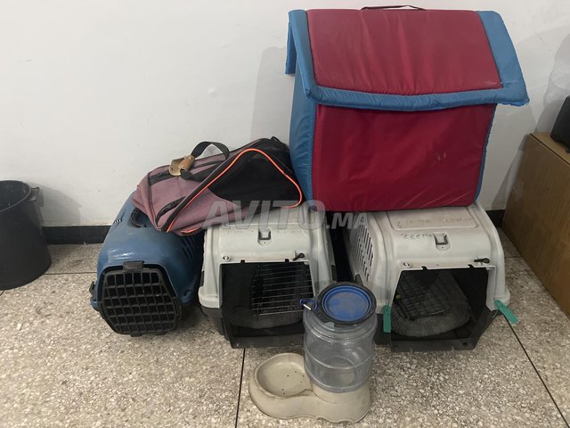 أقفاص للقطط والكلاب