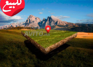 Terrain à vendre à Saniya Al-Mqarib