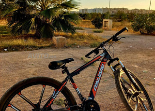 VTT ITALIANO Sportif 26