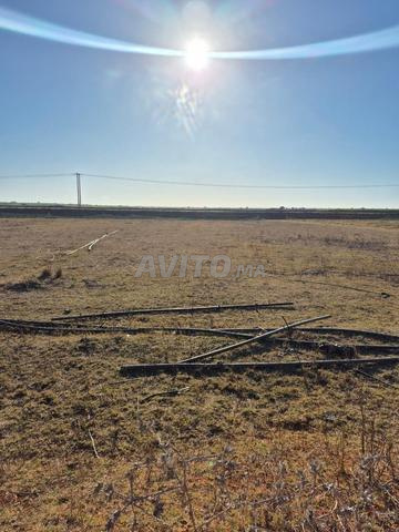 À VENDRE – Terrain de 5 hectares à Sidi Ayach