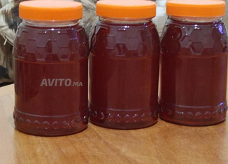 عسل حر الزعتر لمنطقة تنغير الرشيدية