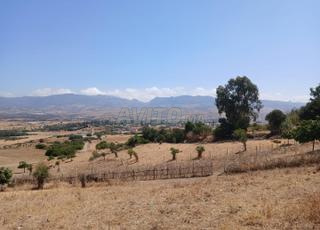 مركز جماعة السوق القديم تطوان