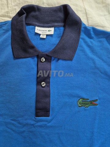 بولو لاكوست