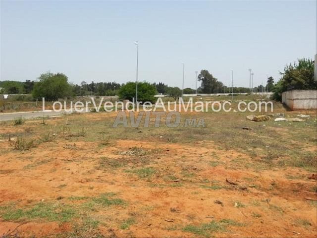 Vente terrain à Ain Attig