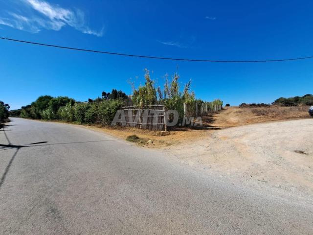 Terrain de 2568 m2 à vendre à Briech, route Asila