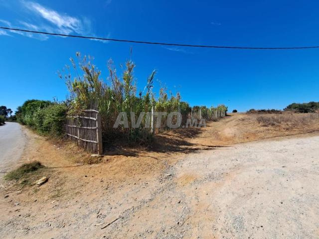 Terrain de 2568 m2 à vendre à Briech, route Asila - 2