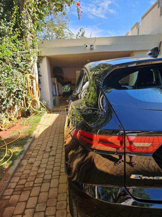 jaguar e pace a vendre