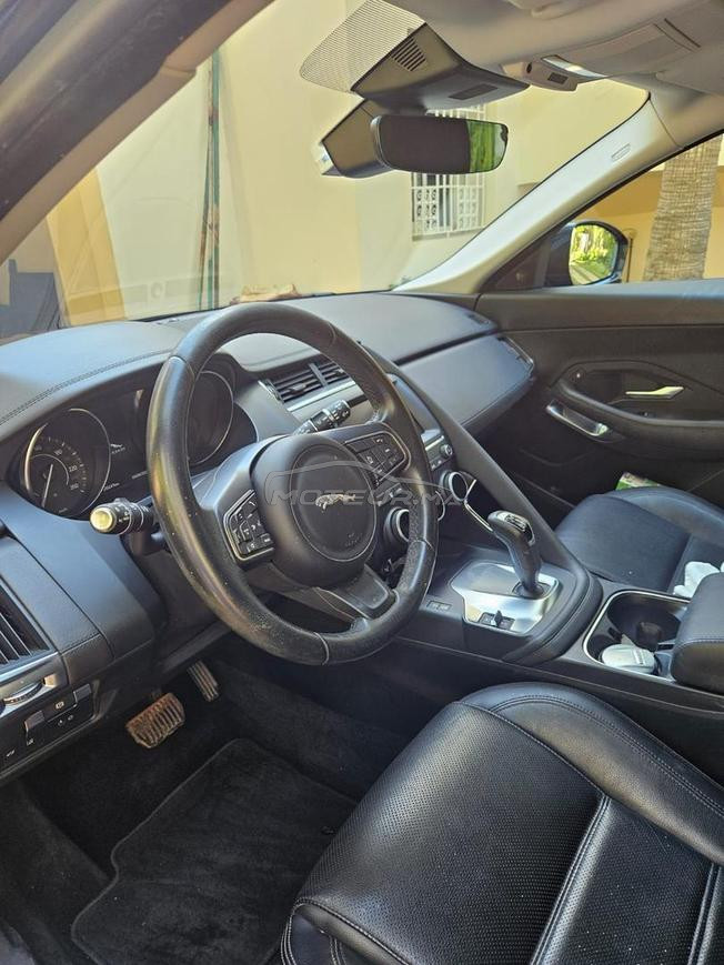 jaguar e pace a vendre