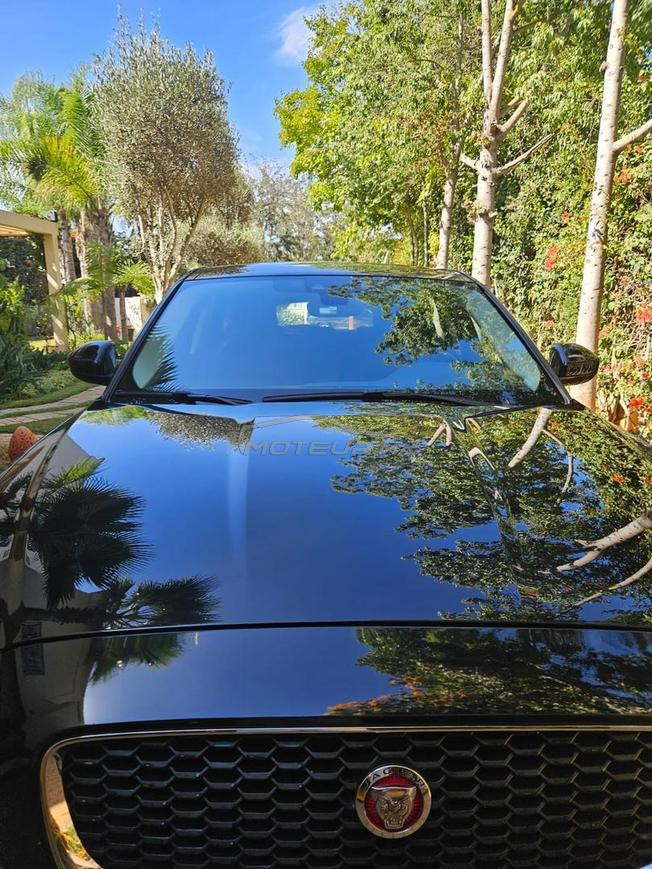 jaguar e pace a vendre