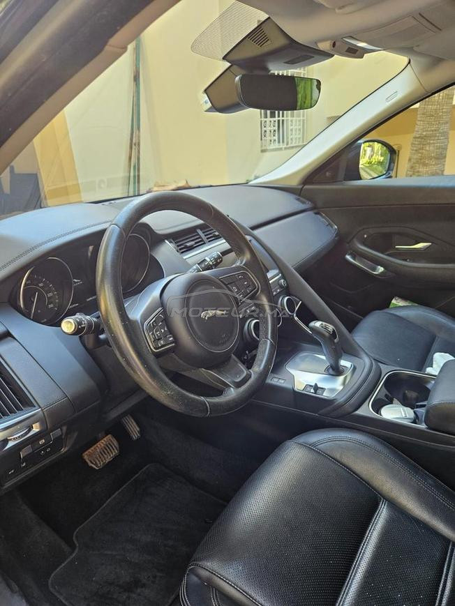 jaguar e pace a vendre