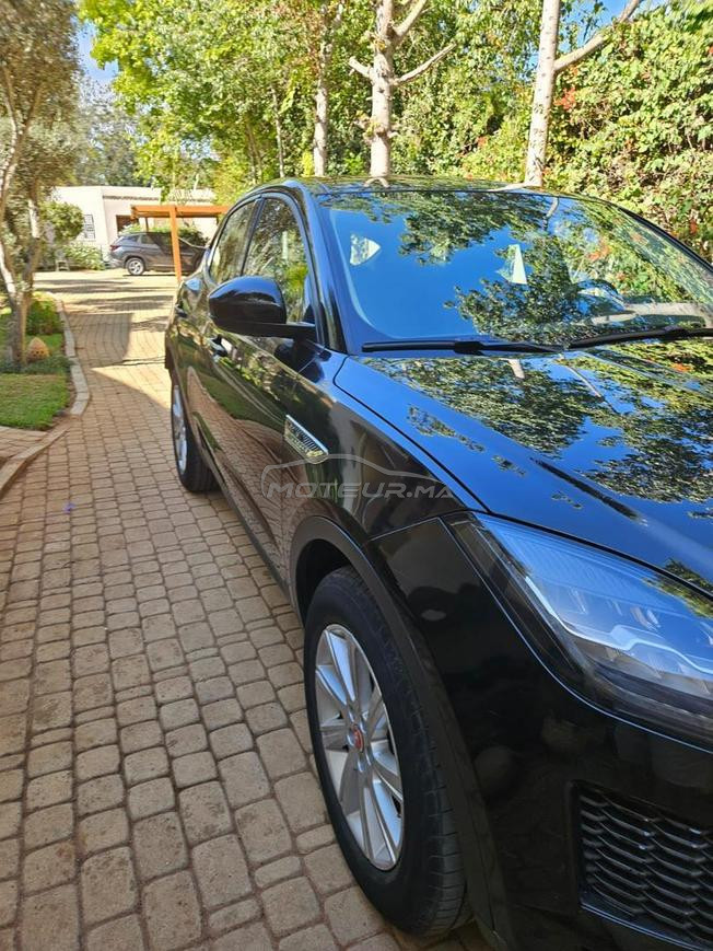 jaguar e pace a vendre