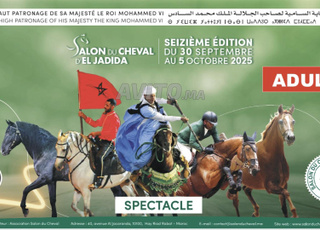 spectacle salon de cheval