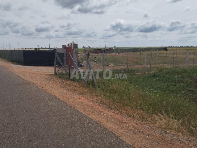 Terrain titré, à Sidi Benour Bouchraik
