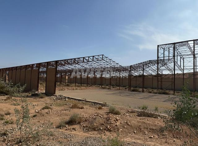 Terrain industriel 6 hectares avec 14000 m² bâtis