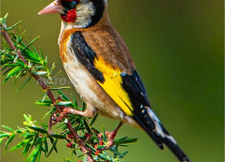 طنجة وسط المدينة